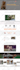 design wix  or redesign wix website, wix ecommerce store