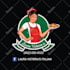 design a food truck logo, wrap, menu, business card, and promotional flyer
