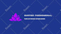 manage pinterest business account, pin design, posting, idea pin, boards and ads