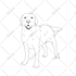 draw vector, line art illustrations