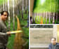 do professional photoshop photo manipulation and image masking