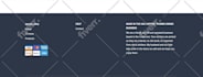 design a modern professional wordpress website