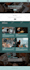 build a professional responsive wordpress website