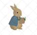make rabbit illustrations for you