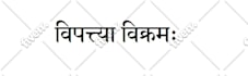 translate a tattoo to sanskrit