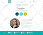 design and build wix editor or wix studio website