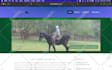 do web design and develop website, web app or saas product