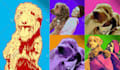 draw you into a professional wpap