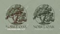 design your companys vision
