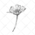 do clean and precise background removal editing within hours
