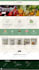build a profitable shopify store or shopify website design
