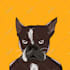 design custom nft art, nft collection , nft character cartoon avatar for you