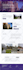 design wordpress website using elementor, divi or kadence SEO optimized