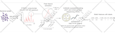 create scientific figures illustrations and diagrams