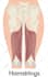 do realistic professional medical illustrations