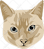 draw your pet or animal to realistic vector