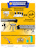 make captivating presentations using prezi or powerpoint