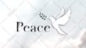 create handmade vectors, raster to vector, vectorize image and logo