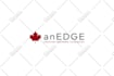 do a professional minimalist modern custom logo design for startup business