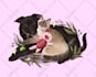 draw a cute pet, cat, dog portrait in my art style