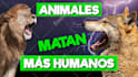 design personalized thumbnails for youtube videos