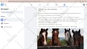 be your facebook group or page admin or moderator
