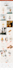 develop a wordpress responsive ecommerce website