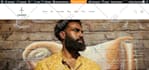 create professional wordpress website