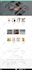 design profitable shopify dropshipping store or shopify website