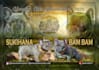 design premium stud flyers and breeding banners