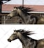 do top quality image masking expert layer mask channel alpha
