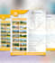 design your professional flyer or business flyer,  brochure