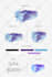 professional brand guide  branding kit