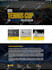 design a professional wordpress website