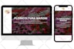 build responsive wordpress website design seo or woocommerce