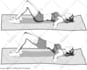 do all medical, dental and scientific illustrations for you