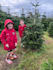 do photo editing, change images background, color correction