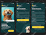 design mobile app UI UX and website UI UX