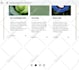 design shopify ecommerce store or shopfiy website