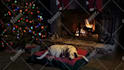 do 4k relaxing fireplace video with crackle sounds up to 24h