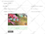 submit site url to 3 top chinese search engines, china seo