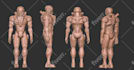 3d modeling  and texturing  for game props and game assets