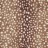 hand drawn surface pattern designs for fashion textiles and lifestyle products