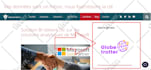 provide wordpress maintenance and virtual assistance