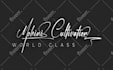 design calligraphy scripted name signature logo