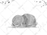 draw pencil sketch illustrations