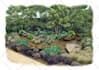 draw landscape illustration in colored