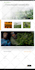 design and develop responsive website