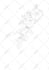 create custom tattoo design for you