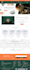 design divi wordpress website using divi theme and builder as a divi expert